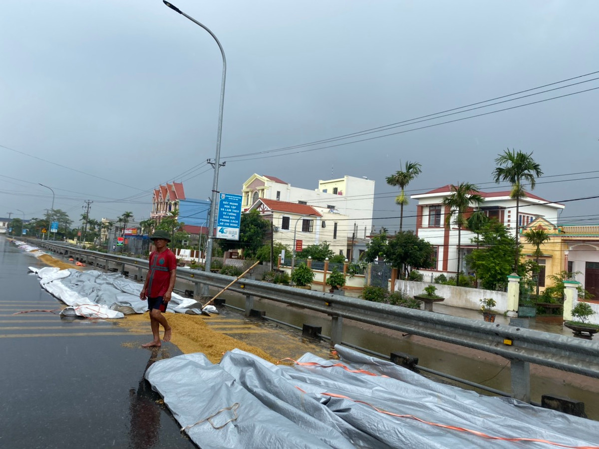 Cơn mưa bất chợt khiến người dân không kịp trở tay. Toàn bộ số thóc lúa của gia đình ông Nguyễn Văn Tâm (xóm 1, xã Hải Hà, huyện Hải Hậu) ướt sũng.