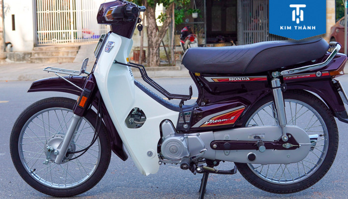 Trong túi quần còn một chiếc ví có giấy phép lái xe hạng A1 mang tên Vũ Xuân Trường (SN 1946, trú tại 28B19 tập thể Kim Liên) cùng 170.000 đồng. Cũng qua khám nghiệm, lực lượng điều tra phát hiện phía sau não bộ của hài cốt có một vết nứt, nghi là do ngoại lực. Qua công tác rà soát, cơ quan Công an có thông tin từ ngày 20/7/2002, người nhà của ông Vũ Xuân Trường đã trình báo chính quyền về sự mất tích bí ẩn của ông. Theo đó, nạn nhân ra khỏi nhà lúc 23h ngày 17/7/2002, khi đi mang theo một xe máy Honda Dream Thái màu nho BKS 31M7-912. (Ảnh minh họa, nguồn internet) 