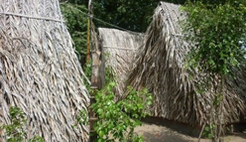 Còn tại chòi cà phê của anh Hành ở xã Lộc Đức, các trinh sát phát hiện 1 đôi dép của nam giới để lại và một chiếc dép của nữ đã bị đứt quai. Ngay sau đó, cơ quan công an đã xác minh được đôi dép nam giới là của Nguyễn Thành Đức, còn chiếc dép nữ giới bị đứt quai là của Trần Thị Tuyết Hương. Cùng với đó, trong vườn cà phê lại xuất hiện một hố sâu mới đào, nhưng bên dưới không có gì. Từ những nghi vấn này, Ban chuyên án tập trung các mũi theo dõi, đấu tranh, khai thác thông tin từ Hương; đồng thời, tiếp tục khoanh vùng, sàng lọc các đối tượng tình nghi. (Ảnh minh họa, nguồn internet) 