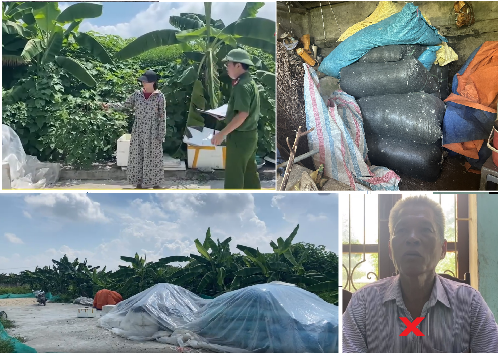 Thanh Hóa: Bắt kẻ trộm 13 bì lông vịt trị giá trên 100 triệu Thanh Hoa: Bat ke trom 13 bi long vit tri gia tren 100 trieu