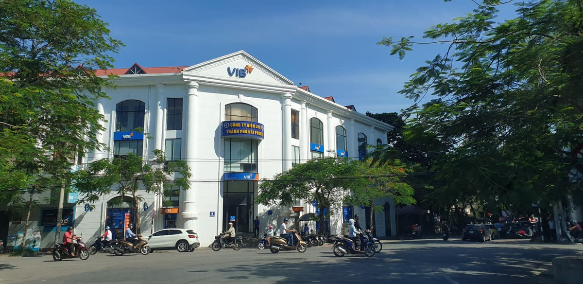 Dien luc Mien Bac yeu cau PC Hai Phong bao cao viec cho thue dat sai phep