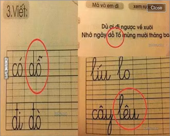 A day roi: Sach giao khoa tieu hoc va nhung loi sai dien ro