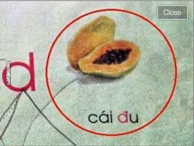 Không hiểu từ "cái đu" và hình minh họa quả đu đủ có liên quan gì đến nhau mà lại được người viết sách sử dụng, trình bày theo cách này? Những lỗi sai như vậy có thể ảnh hưởng nhiều tới quá trình học tập, thu nhận kiến thức chuẩn của học sinh tiểu học.