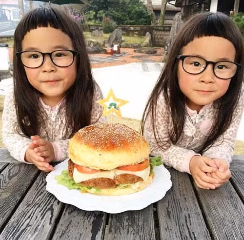 Ai cũng sẽ bị thu hút bởi những hình ảnh đáng yêu, dễ thương của chị em song sinh này.