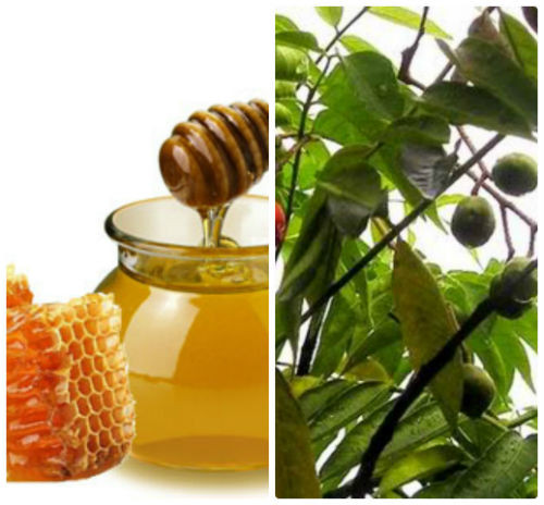 Hỗn hợp lá dâu da xoan và mật ong có tác dụng điều trị bỏng, chữa nổi mề đay, mẩn ngứa, trị mụn đầu đen.