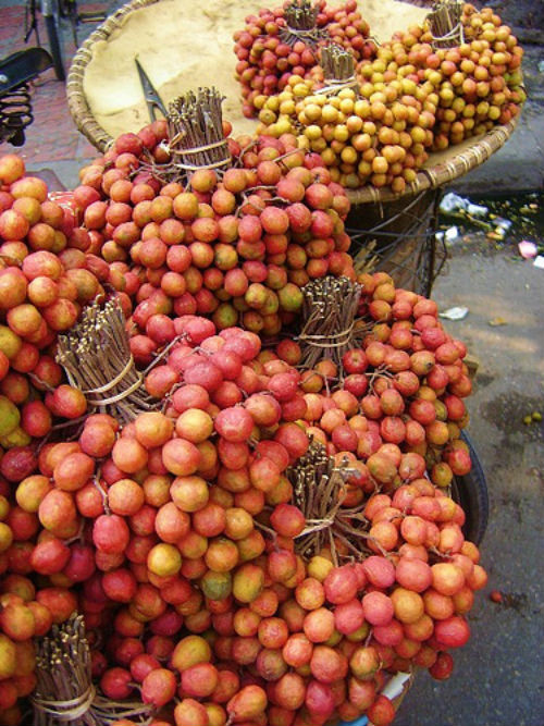 Hạt dâu da xoan sao vàng, hạ thổ sắc với nước rồi uống sau bữa sáng có tác dụng chữa đầy bụng, ăn không tiêu. Ảnh: phunu24h.