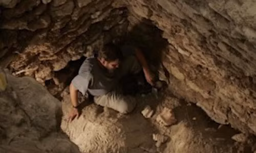 Thành phố cổ El Peru-Waka của người Maya, nằm gần sông San Pedro Martir trong Vườn quốc gia Laguna del Tigre.