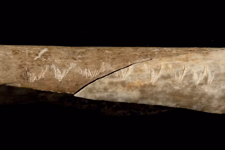 Những bằng chứng được các chuyên gia phát hiện còn chỉ ra rằng, việc ăn thịt đồng loại có thể là một hành vi bình thường với con người trong thời cổ đại, thậm chí xương sọ thừa còn được tận dụng để làm mũ đội đầu.