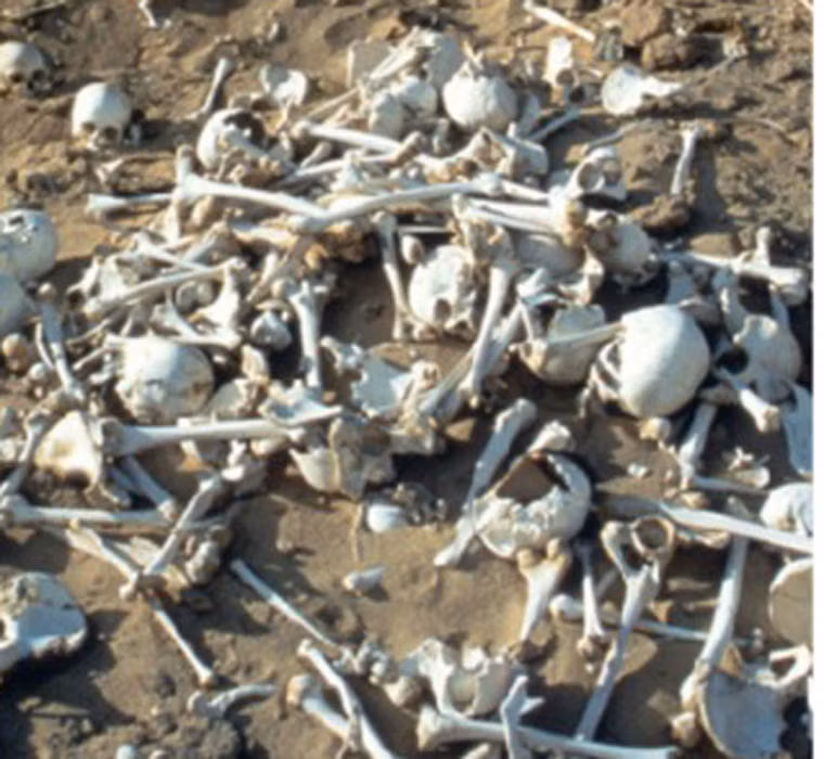 Gần đây, nhà khoa học Angelo và Alfredo Castiglioni phát hiện ra dấu tích của đội quân vua Cambyses II mất tích bí ẩn năm xưa. Theo đó, sau 13 năm chinh chiến, những người lính của vị vua Ba Tư trên gặp phải cơn bão cát kinh hoàng khiến toàn bộ binh sĩ thiệt mạng tại sa mạc.