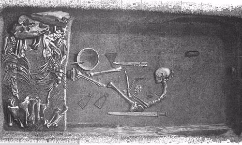 Lâu nay, những câu chuyện kể về các nữ chiến binh Viking thiện chiến, kề vai sát cánh cùng những người đàn ông đi chinh chiến khắp nơi thu hút sự quan tâm của mọi người. Tuy nhiên, do không có bằng chứng nên điều này trở thành vấn đề gây tranh cãi. Chính vì vậy, một số người bác bỏ thông tin trên.