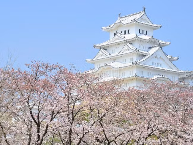 Lâu đài Himeji, Hyogo, Nhật Bản: Lâu đài Himeji nằm ở trung tâm thành phố Himeji, cách thủ đô Tokyo 650 km về phía tây. Lâu đài được UNESCO công nhận là di sản thế giới vào năm 1993 và là di tích lịch sử đặc biệt của quốc gia. Himeji xây dựng năm 1346 và được coi là lâu đài thời trung cổ tiêu biểu nhất ở Nhật Bản. Tường của lâu đài được làm bằng gỗ và phủ một lớp thạch cao trắng để chống cháy nên Himeji còn có tên gọi là lâu đài Hạc Trắng. Ảnh: Escape.