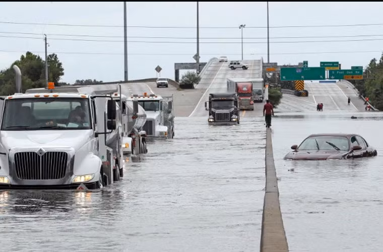 Trong thời gian từ năm 1950 - 1952, các cơn bão ở bắc Đại Tây Dương được đặt tên theo thứ tự bảng chữ cái (Able, Baker, Charlie...) và chúng được sử dụng lặp lại mỗi năm.