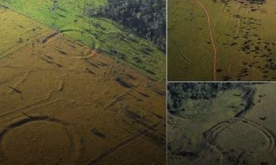 Các chuyên gia tại ĐH Helsinki cũng cho hay đây là phát hiện quan trọng về kiến trúc cổ xưa ở Amazon.