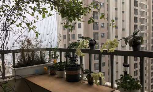 Mua chung cu, huong nha la huong cua ra vao hay huong ban cong?