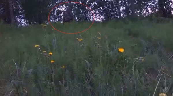 Matt Whitton và Rick Dyer gây chú ý khi từng tuyên bố tìm thấy thi thể một con quái vật huyền thoại Bigfoot. Con vật này có bộ lông hung đỏ và mắt nâu đen.