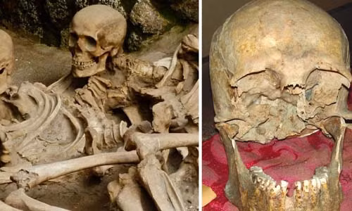 Theo báo cáo về cái chết của Pliny the Elder do người cháu của nhà sử học này viết là Pliny the Younger, vị chỉ huy Hải quân trên đã chỉ huy hạm đội La Mã đang đóng quân ở Vịnh Naples và đưa tàu thuyền đến thành phố Pompeii để tìm cách giúp đỡ và giải cứu người dân gặp nạn.