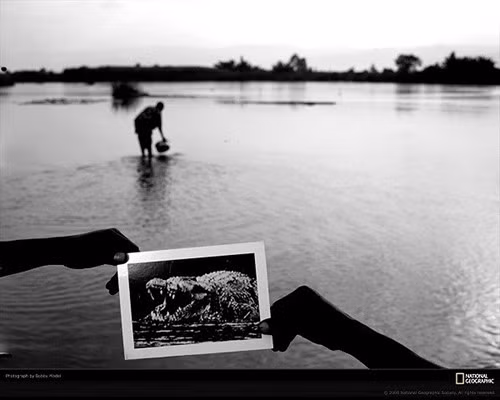 Trong suốt nhiều năm liền, con quái vật đầm lầy này không bị bắt nên người ta suy đoán kích thước của nó tăng lên đáng kể. Thêm nữa, người ta cũng ước tính tuổi của con cá sấu Gustave có thể dao động trong khoảng 60 - 100.