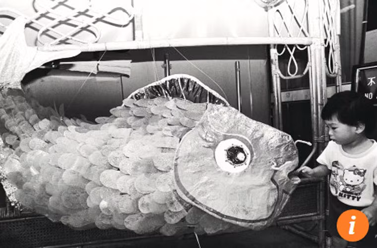 Ông William chia sẻ rất thích những chiếc đèn lồng trong ngày Tết Trung thu. Ông thích những chiếc đèn lồng truyền thống hình con thỏ, cá hoặc trái đào.