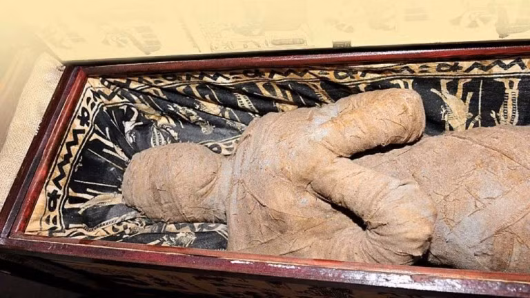 Năm 2013, bé trai Alexander Kettler ở Diepholz, phía bắc nước Đức phát hiện một xác ướp, được cho là của người Ai Cập cổ đại, trên gác mái của bà nội. Xác ướp này nằm bên trong một quan tài được trang trí các chữ tượng hình, cùng một chiếc mặt nạ và một chiếc bình trong một thùng gỗ.