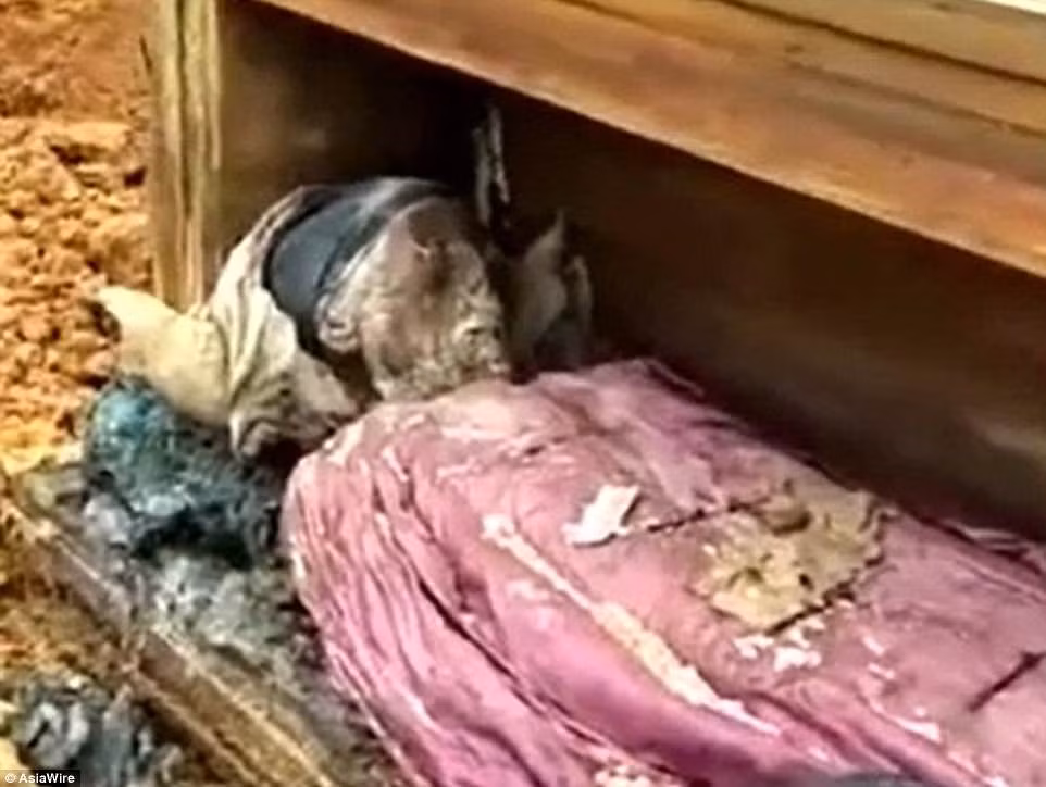 Cỗ quan tài của người đàn ông trên được làm từ đá vôi và gỗ mịn giúp bảo quản thi hài vẹn nguyên suốt hàng trăm năm.