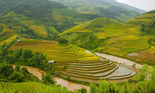 Từ những núi đá trên biển ở vịnh Hạ Long tới các khu ruộng bậc thang ở vùng núi phía Bắc, Việt Nam có một kho báu cảnh quan tự nhiên mà du khách có thể dễ dàng khám phá. Điều này giúp Việt Nam có mặt ở vị trí 20 trong danh sách những quốc gia đẹp nhất thế giới do độc giả của Rough Guides bình chọn.