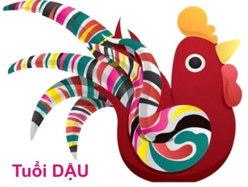  Tuổi Dậu: Trong 12 con giáp thì người tuổi Dậu luôn là con giáp con giáp chăm chỉ, cần mẫn trong từng công việc nên cuộc sống không bao giờ túng thiếu nghèo khổ. Người tuổi Dậu khi khởi nghiệp gặp nhiều khó khăn trong cuộc sống nhưng sau đó thì họ sẽ có những cơ hội may mắn để thay đổi vận mệnh trong thời gian cuối năm Canh Tý này.