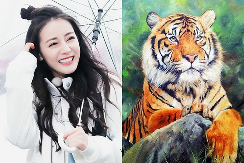 Dù sức khỏe không có vấn đề gì đáng lo ngại nhưng tuổi Dần cần chú ý sinh hoạt điều độ, ăn ngủ đúng giờ, hạn chế thức khuya sẽ ảnh hưởng tới sức khỏe lâu dài.