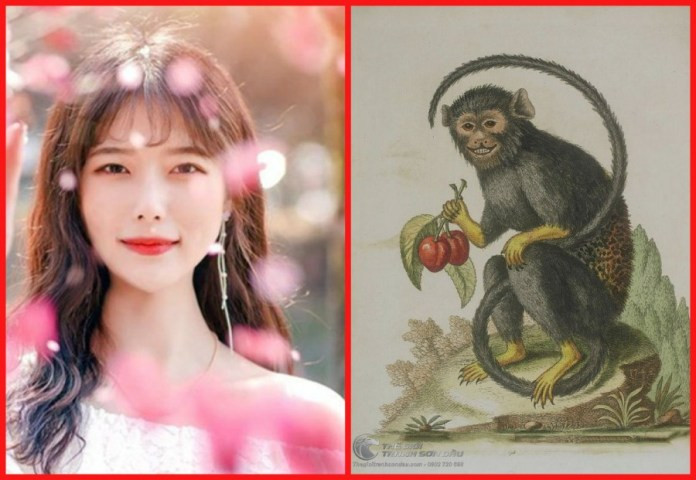 Về tình cảm, vận trình của người nữ tuổi Thân sẽ thuận lợi hơn nam tuổi Thân. Người có cặp có đôi dễ xảy ra tranh cãi.