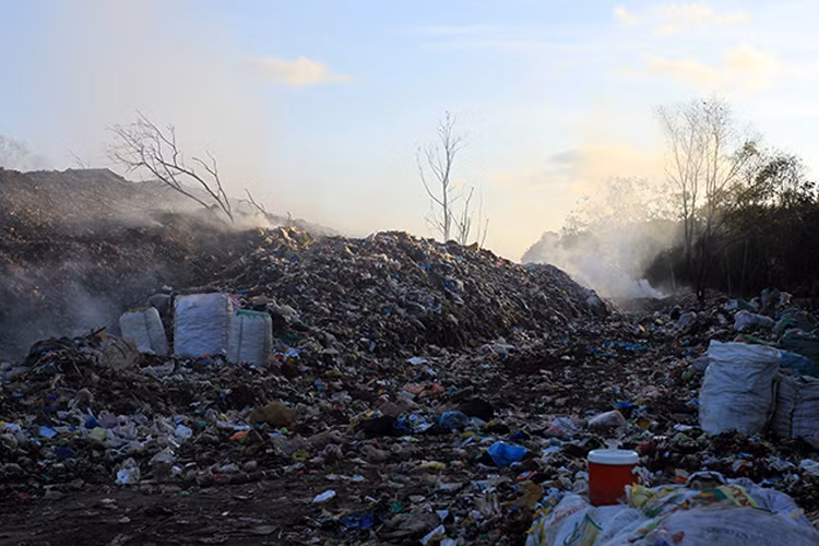 Tại đảo ngọc Phú Quốc, rác thải được tập trung thu gom ở hai bãi rác Đồng Tràm (xã Cửa Cạn) và bãi rác ấp 7 (thị trấn An Thới). Đặc biệt tại bãi rác An Thới, có tới hàng chục gia đình nghèo đang chật vật sinh sống bằng công việc nhặt phế liệu.