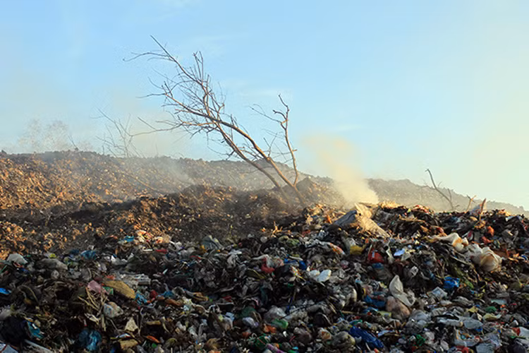 Từ bãi rác, nước bẩn rỉ ra, khói bụi, mùi hôi thối bốc lên suốt ngày đêm, bủa vây cuộc sống của người dân nơi đây. Cứ thế, họ lay lắt sống trong bầu không khí không thể ô nhiễm hơn. Tại đây, cây cối cũng dần chết mục, chỉ còn lại những phận nghèo vẫn cố gắng bám trụ từng ngày.