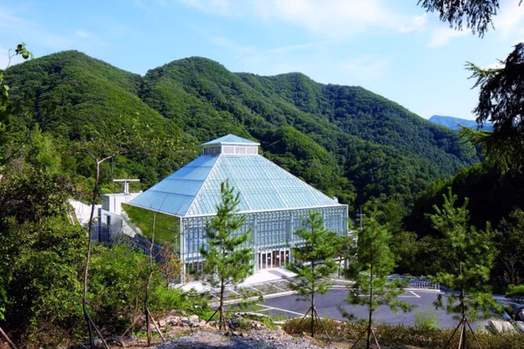 Nhà thờ Light of Life được bao quanh bởi những cánh rừng xanh mướt ở Seoul, Hàn Quốc.