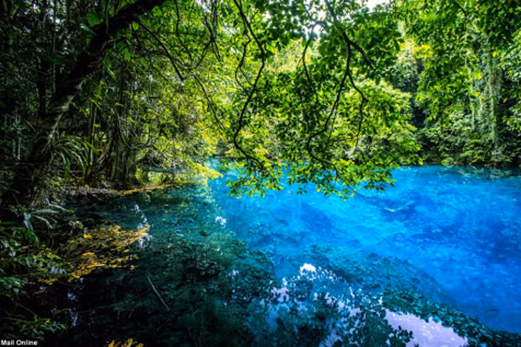 Những hồ nước trong xanh như thế này có thể khiến bạn phải hét lên vì phấn khích khi tới Vanuatu.