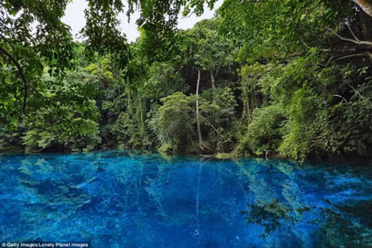 Vẻ đẹp ma mị của hồ Matevulu Blue trên đảo Espiritu Santo, Vanuatu.