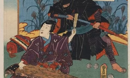 Ninja, nhung 
