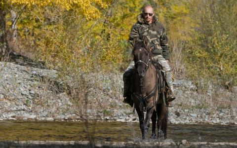 Ngoài ra, Tổng thống Nga Putin cũng rất thích cưỡi ngựa, bởi ông luôn cảm thấy ung dung tự tại khi ngồi trên lưng ngựa. Ảnh: AP.