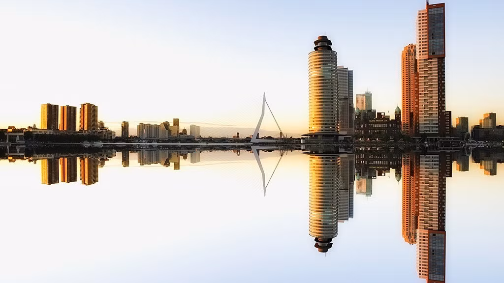 Một trong những điều mà Rotterdam nổi tiếng chính là xã hội đa văn hóa. Mọi người từ khắp nơi trên thế giới sinh sống ở đây.