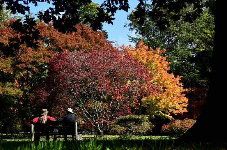 Lá cây nhuộm màu đỏ, vàng khi thu tới ở Tetbury.