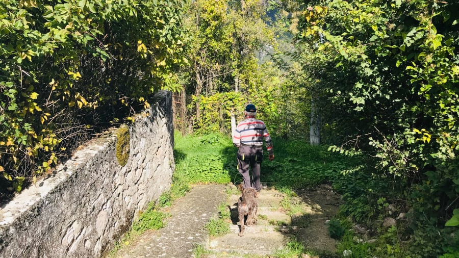 "Đeo khẩu trang và tuân thủ giãn cách xã hội không chỉ vì lý do sức khỏe. Nếu có quy định, bạn cần tuân thủ chúng vì lợi ích của bạn và những người khác. Đó là vấn đề nguyên tắc", ông Carilli nói tiếp.