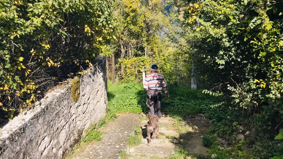 "Đeo khẩu trang và tuân thủ giãn cách xã hội không chỉ vì lý do sức khỏe. Nếu có quy định, bạn cần tuân thủ chúng vì lợi ích của bạn và những người khác. Đó là vấn đề nguyên tắc", ông Carilli nói tiếp.