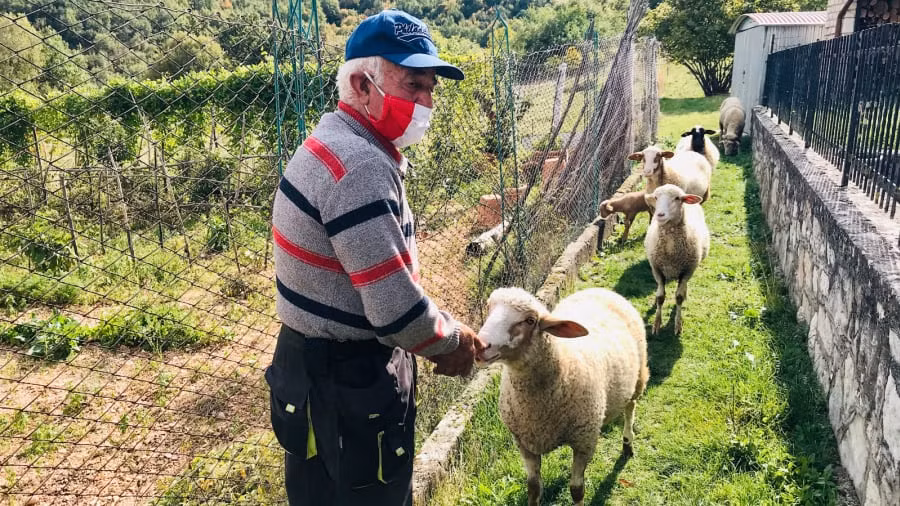 "Tôi rất sợ con virus đó. Nếu tôi bị ốm, ai sẽ chăm sóc cho tôi? Tôi già rồi, nhưng tôi muốn tiếp tục sống ở đây để chăm sóc cho đàn cừu, cây nho, tổ ong và vườn cây ăn quả. Tôi yêu thích cuộc sống này", CNN Travel dẫn lời ông Carilli.
