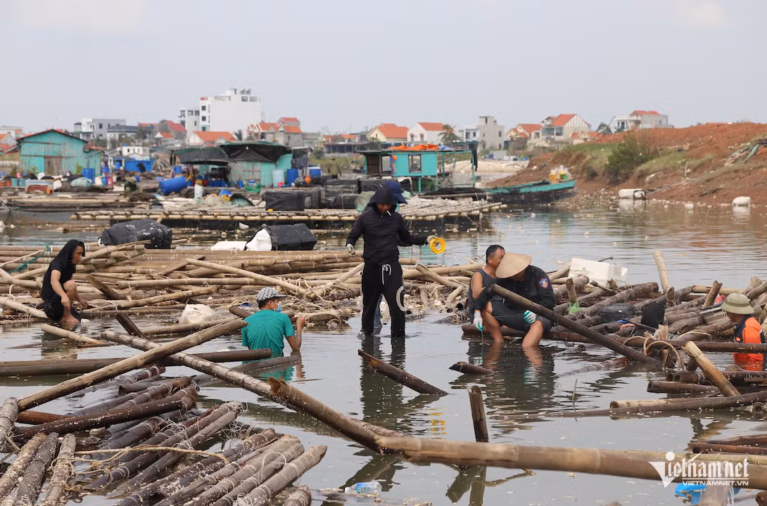 Chủ lồng “gánh” trên vai khoản nợ hàng nghìn tỷ sau bão dữ Chu long “ganh” tren vai khoan no hang nghin ty sau bao du
