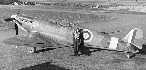 Theo Wikipedia, có đến 24 biến thể khác nhau của chiếc Spitfire. Trong đó kiểu MK V là thông dụng nhất với hơn 6.000 chiếc xuất xưởng. Tiếp theo đó là chiếc MK IX với hơn 5.000 chiếc được chế tạo.