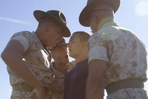 Trong quân đội Mỹ có một điều sẽ gây ngạc nhiên cho nhiều người đó là cấp bậc phổ biến nhất là các “chuyên gia”. Theo thống kê trong toàn bộ các lực lượng thường trực và dự bị, trong năm 2015, quân đội Mỹ có đến 264.890 người được gọi là chuyên gia, con số này chiếm hơn một phần tư quân số.