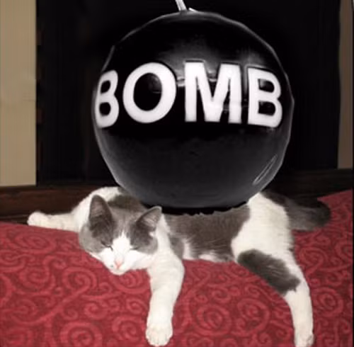 Kinh hoang du an bi mat bien dong vat thanh chien binh-Hinh-13