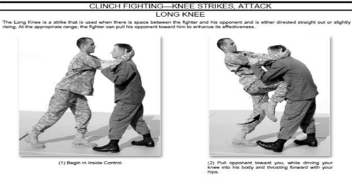 Kinh ngac doc chieu vo chien dau cua binh sy My-Hinh-3