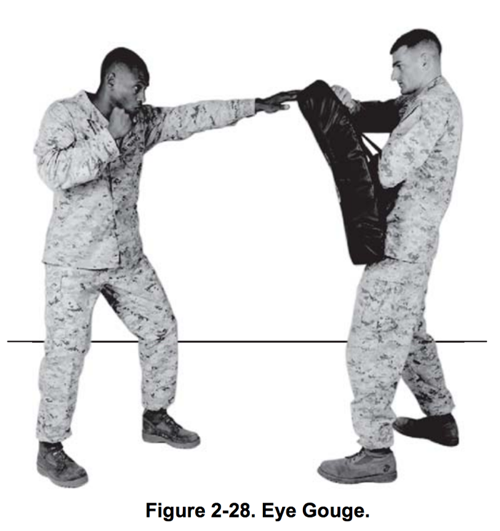 Kinh ngac doc chieu vo chien dau cua binh sy My-Hinh-2