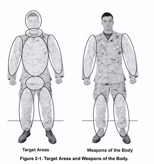 Kinh ngac doc chieu vo chien dau cua binh sy My