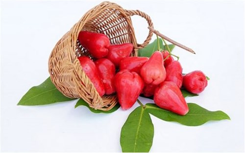 Roi là một loại quả tốt cho phổi. Người Đài Loan có một truyền thuyết về “Ăn quả roi giúp giải nhiệt phổi”. Ở đây, mọi người xem nó như là một thứ giải khát, quen dùng nó để trị những bệnh về ho khan. Ngoài ra, với hàm lượng chất xơ cao cũng một số chất dinh dưỡng khác có thể kiểm soát được mức độ cholesterol tăng trong máu. Ngăn ngừa sự hình thành mảng bám trong mạch máu và từ đó giúp hệ thống tim mạch khỏe mạnh, hạn chế các cơn đau tim, đột quỵ và các bệnh tim mạch khác.