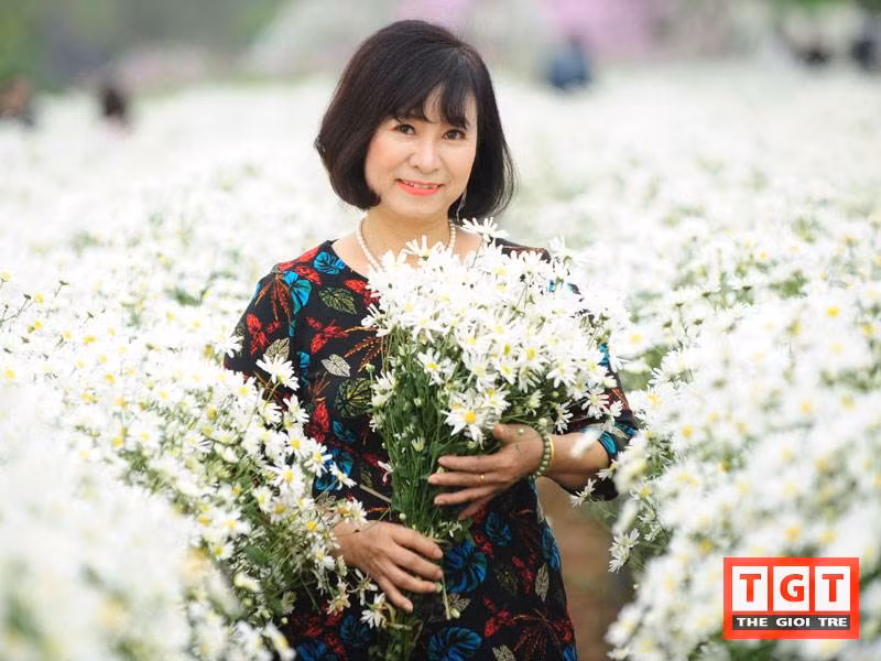 Cô Hương tâm sự: "Khi mùa cúc họa mi bắt đầu cũng là một tín hiệu báo hiệu Hà Nội sang đông, những đợt gió mùa rủ nhau kéo về, sẽ chẳng mấy chốc choáng ngợp cả đất trời. Bông hoa cúc xinh xắn, trắng muốt điểm nhụy vàng nằm xen giữa các loài hoa khác trong chiếc thúng yên vị trên xe đạp mang mùa đông dịu dàng về trên từng con phố. Giữa chốn đô thị ồn ào, náo nhiệt, người ta chỉ còn cảm nhận được nét đẹp tinh khôi, mộc mạc và bình yên đến lạ. Hay những cánh đồng cúc họa mi bất tận... cũng đều có một sức cuốn hút rất riêng mà khó có thể rời mắt".