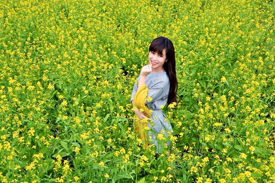 Sắc hương cải vàng đầu đông làm say lòng biết bao người. Ảnh: Trương Mỹ Loan